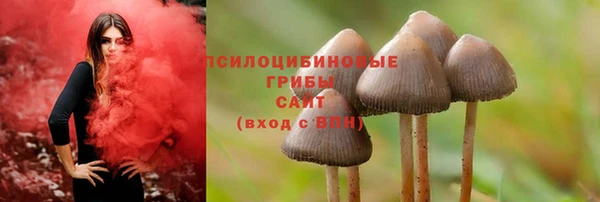 соль курить ск Алексин