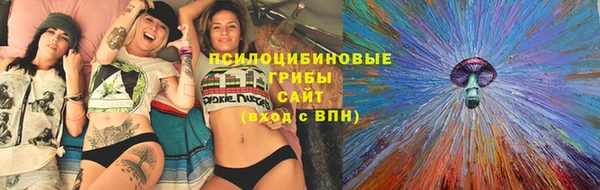 ПСИЛОЦИБИНОВЫЕ ГРИБЫ Алексеевка