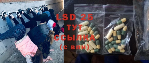 ПСИЛОЦИБИНОВЫЕ ГРИБЫ Алексеевка