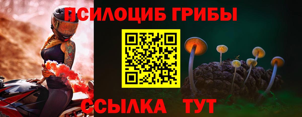Биробиджан  Псилоцибиновые грибы MAGIC MUSHROOMS  Вход с VPN 
