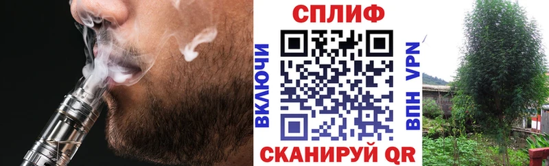 где купить наркоту  Биробиджан  МЕГА зеркало  Каннабис планчик 